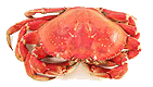 Крабы